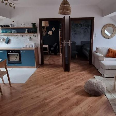 Apartament W Centrum - Nasze Poddasze Устшики-Дольне Экстерьер фото