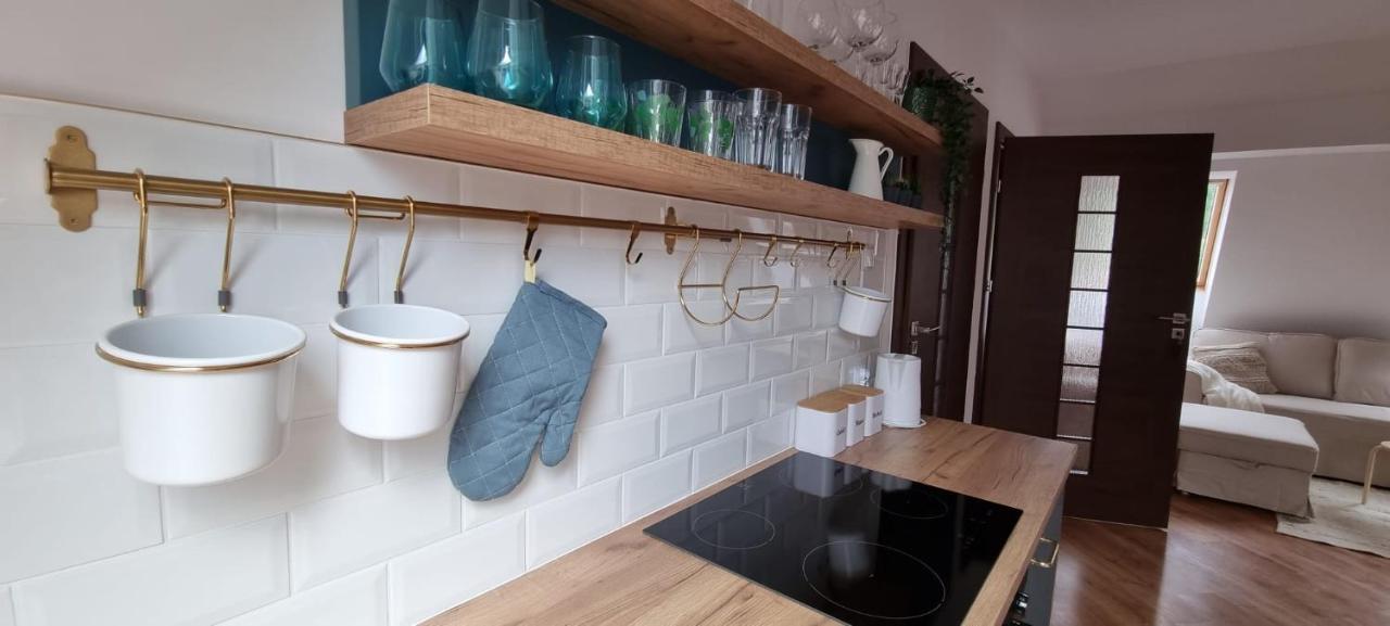 Apartament W Centrum - Nasze Poddasze Устшики-Дольне Экстерьер фото